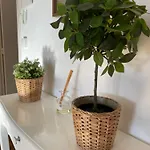 Appartement En Getxo. Cercano Al Puerto Viejo Getxo